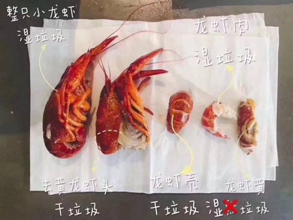 垃圾分类正式实行 成为百万富翁的机会来了！