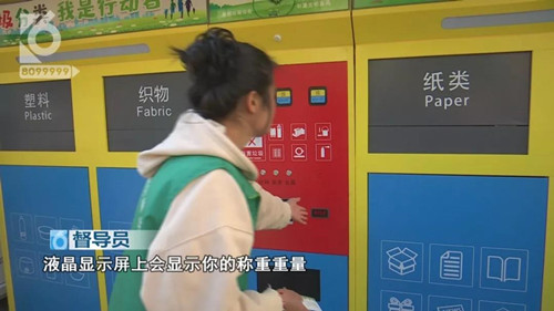 金甲壳虫4_副本.jpg
