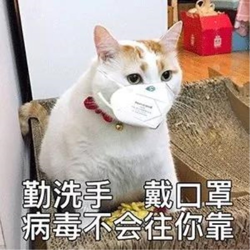 0228猫先生1_副本.jpg