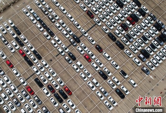资料图：航拍在海通码头等待出口的整车。 殷立勤 摄